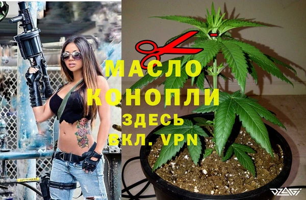 гидропоника Абаза